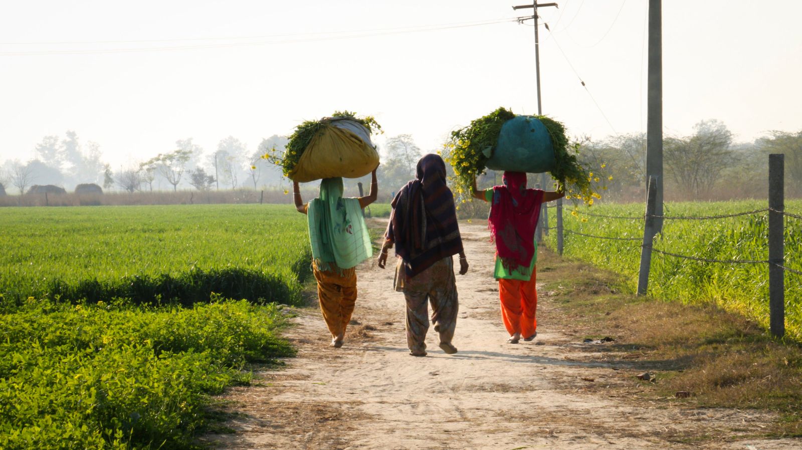 Farm Labour ਪੰਜਾਬ ਦੇ ਖੇਤ ਮਜਦੂਰਾਂ ਦੀ ਆਰਥਕ-ਸਮਾਜਕ  ਦਸ਼ਾ