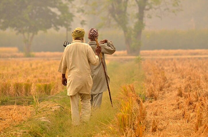 ਖੇਤੀ ਹੁਣ ਕਿਸਾਨਾਂ ਲਈ ਲਾਹੇਬੰਦ ਧੰਦਾ ਨਾ ਰਹੀ