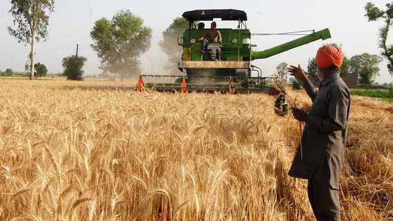 Punjab Farmer- ਕਿਸਾਨਾਂ ਦੀ ਆਮਦਨ ਅਤੇ ਖੇਤੀ ਦਾ ਗੰਭੀਰ ਹੁੰਦਾ ਸੰਕਟ