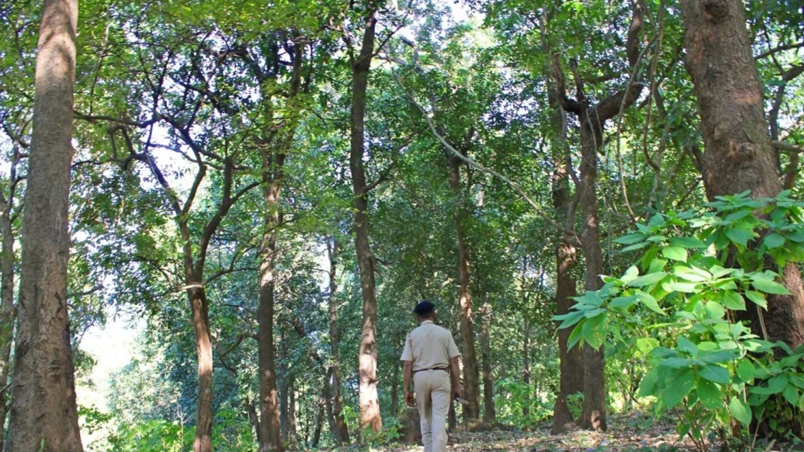 ‘Not police officers’: Telangana High Court quashes IPC charges filed by forest officers in 2022 Amrabad assault case