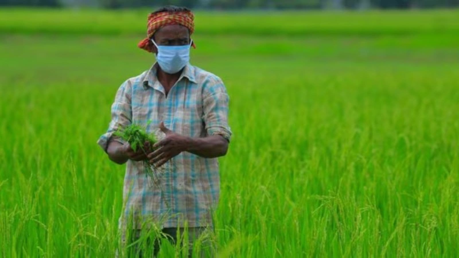 ‘Promises were made, nothing was implemented&rsquo;: Why farmers are marching to Mumbai again