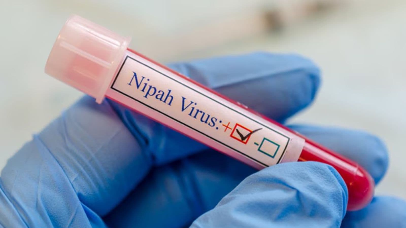 Airports across Asia reintroduce health checks following Nipah virus outbreak in India