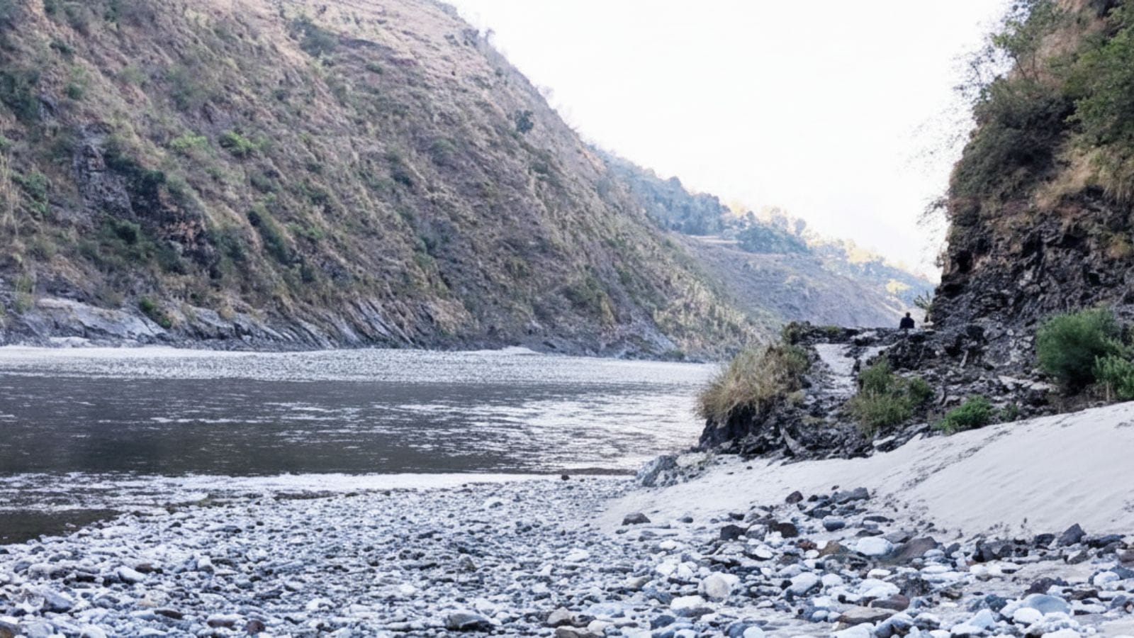 Ammonia level in Yamuna still high, Wazirabad plant operating at 90%