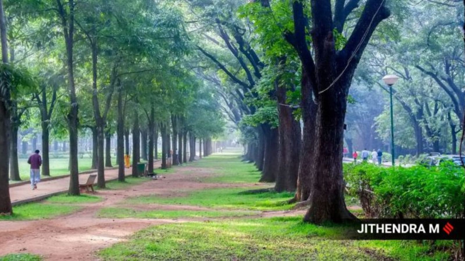 Cubbon Park Walkers&rsquo; Association gets Bengaluru police notice for opposing Pinkathon 2026: &lsquo;Will take legal route&rsquo;
