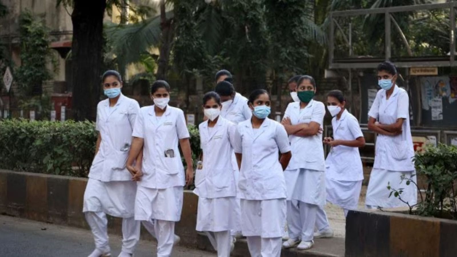 FMGE Results January 2026: NBEMS releases scorecards at natboard.edu.in