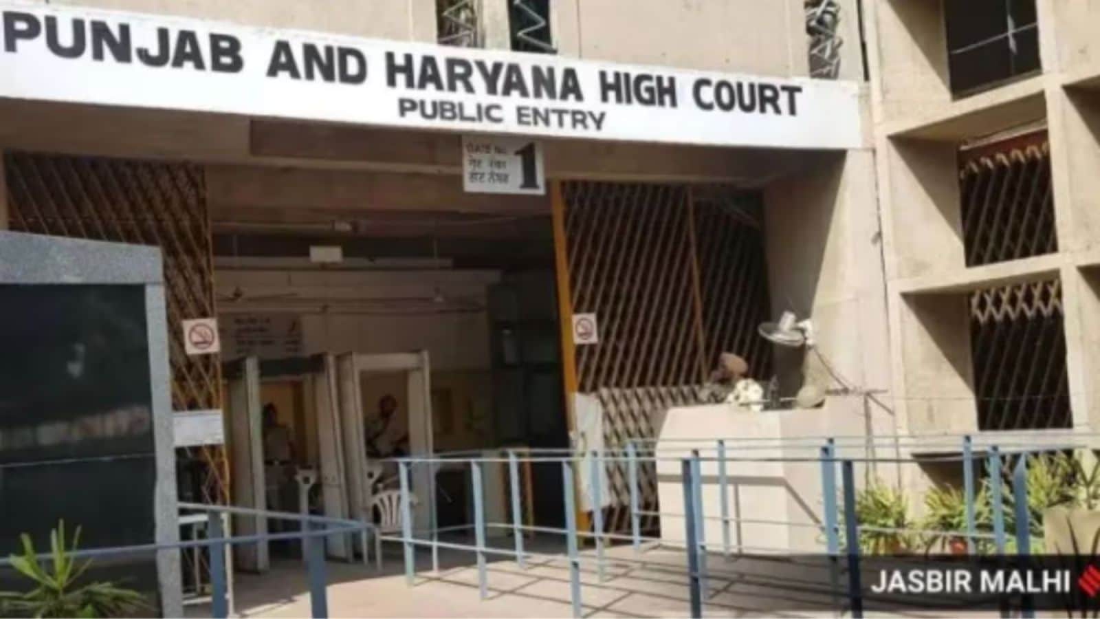 HC takes note of cattle deaths, pulls up Chandigarh admn