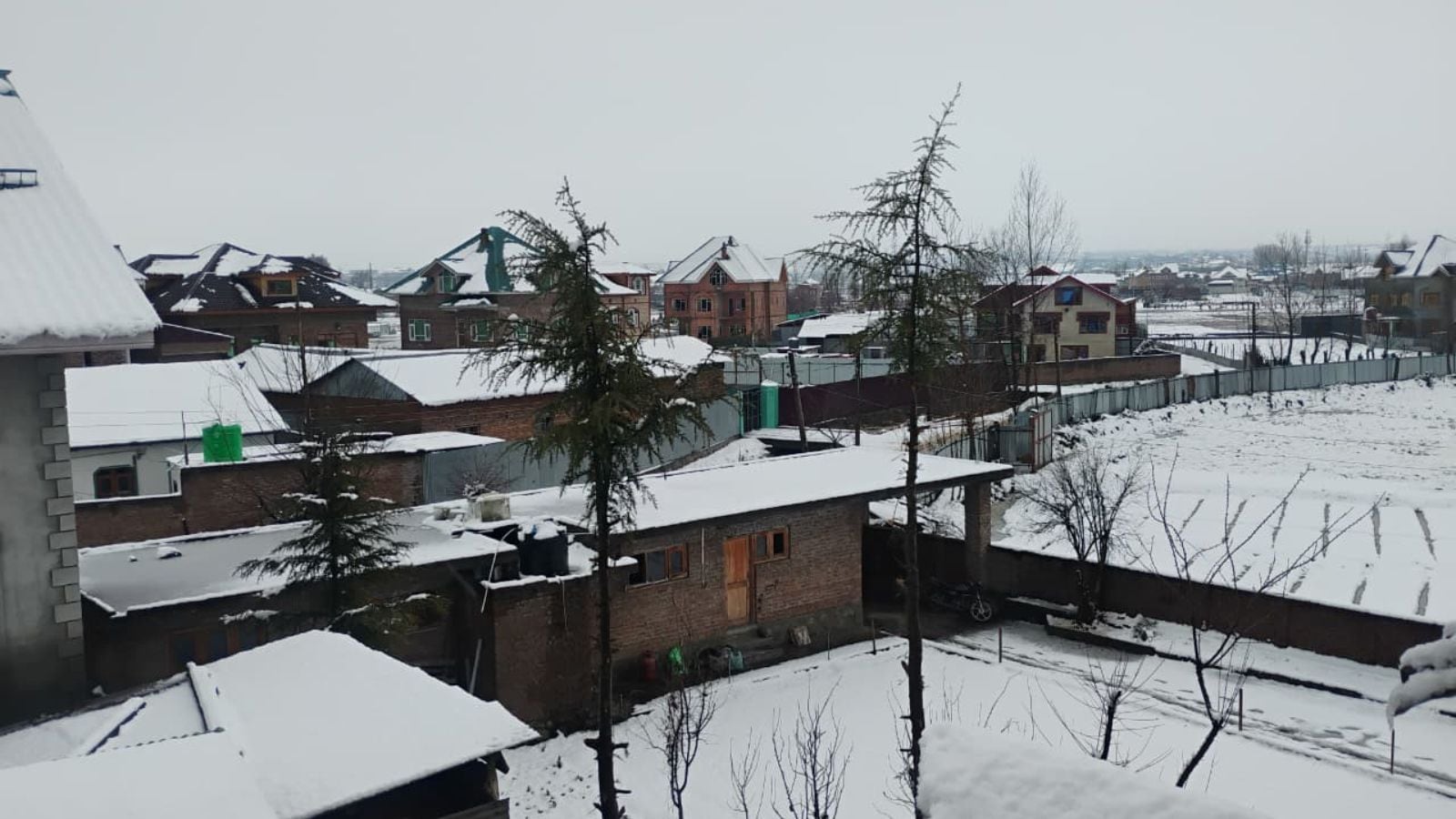 Kashmir, Himachal turn into winter wonderland as fresh snow blankets region | Watch