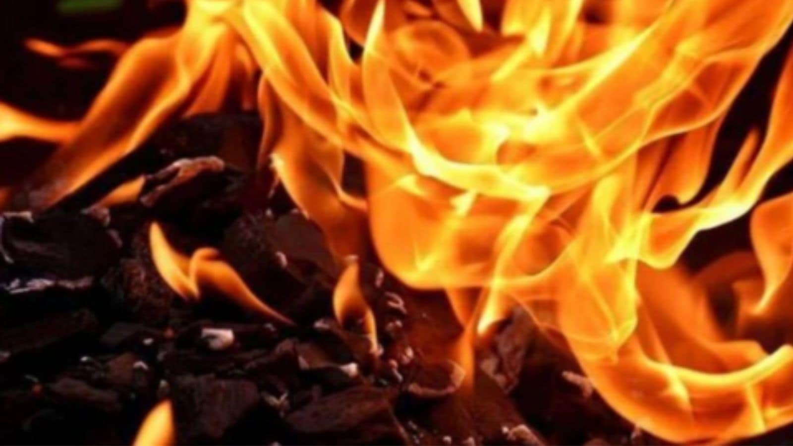 Truck gutted in fire on Chandigarh&ndash;Ambala flyover