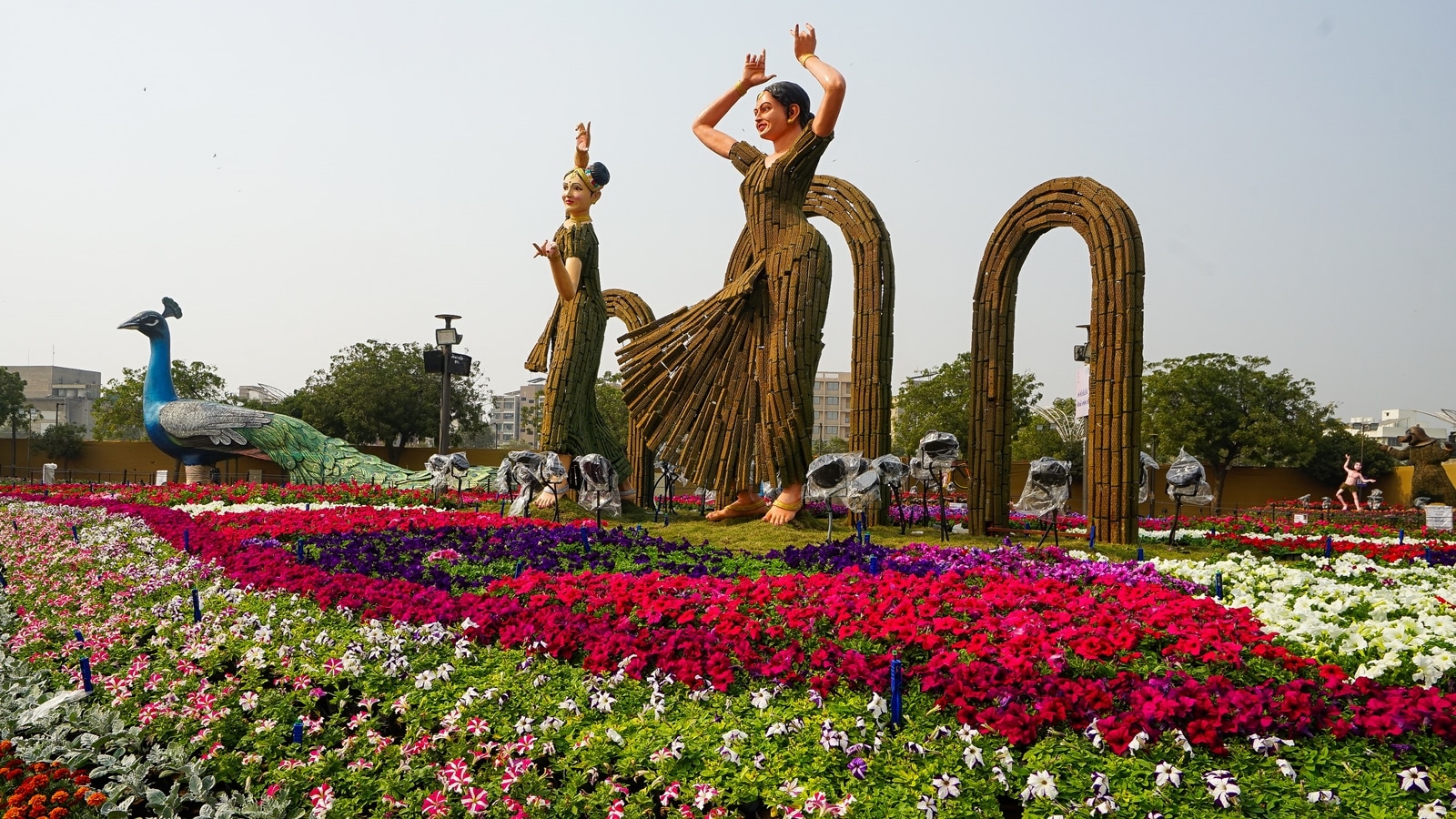 &lsquo;It&rsquo;s getting better and better&rsquo;: Extended till Jan 29, Ahmedabad International Flower Show continues to draw crowd