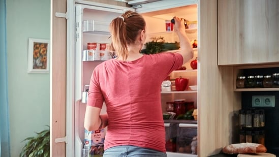 Top 5 frost-free fridges under  ₹30,000 you can buy now