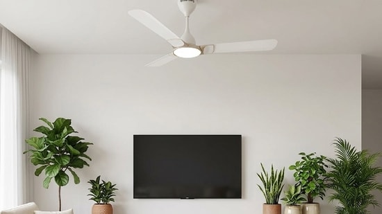 Why are Atomberg fans so popular? Here&rsquo;s what makes them worth the hype right now in India