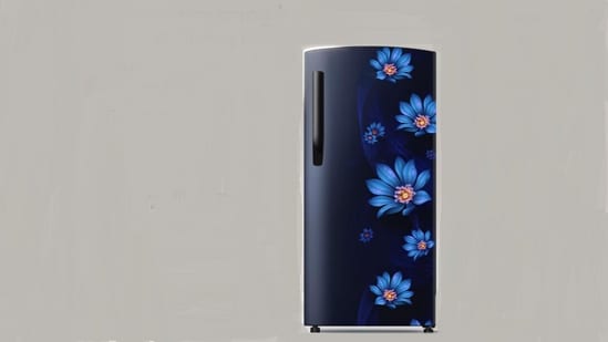 2 Star direct cool single door refrigerators: 10 energy-saving picks for compact homes with everyday cooling and storage