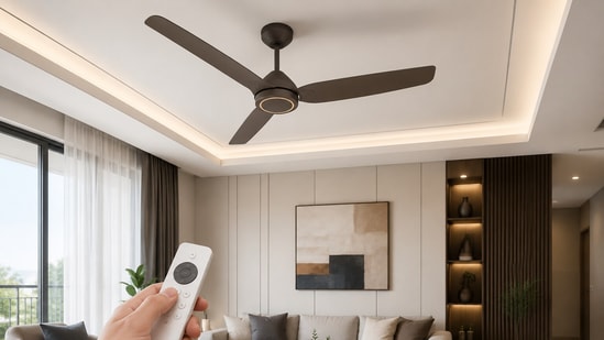 Should you replace your old ceiling fan? How efficient is the BLDC fan transition