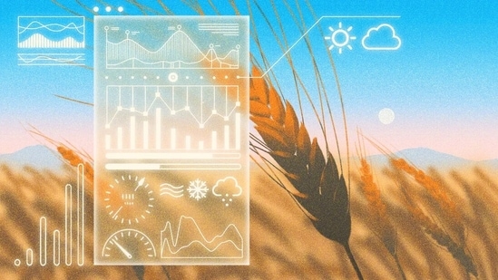 Illustration: Raven Jiang