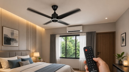 Can a BLDC fan really lower your electricity bill during monsoons? Here's what you should know