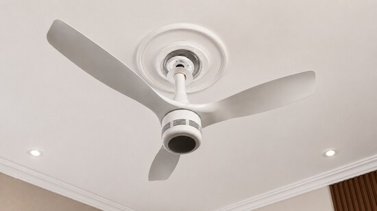 The Orient Electric Aero O2 BLDC ceiling fan is priced at Rs. 15,499 in India. (Ijaj Khan - HT)