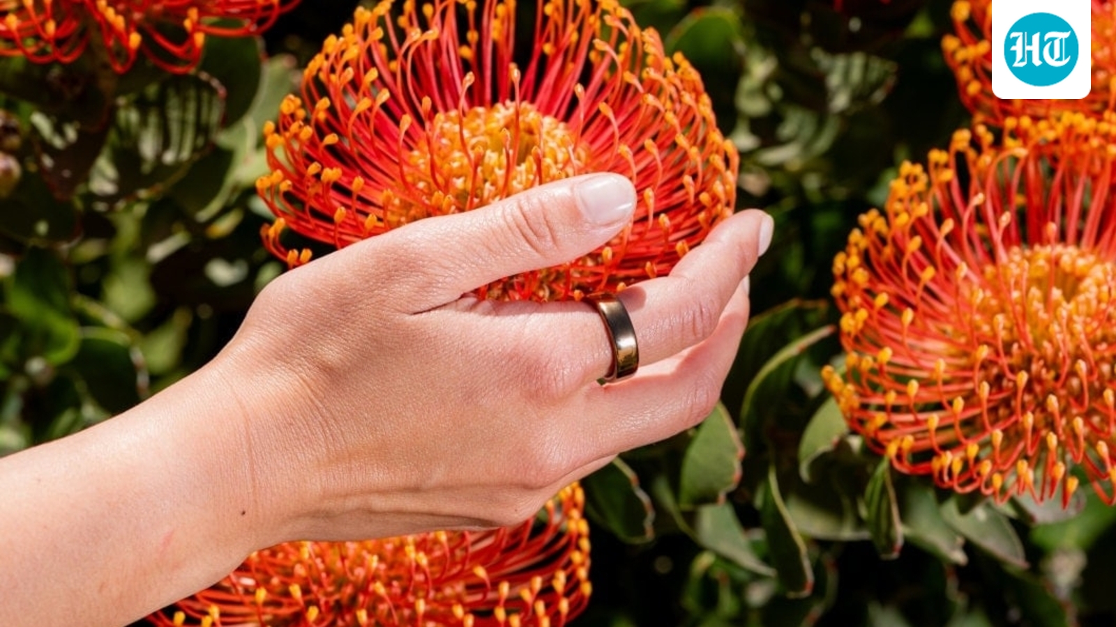 The reason I swapped my smartwatch for a smart ring may surprise you