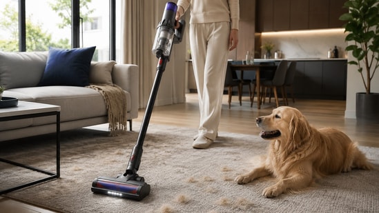 Pet hair, dust and allergies? 7 signs you need a new vacuum cleaner now